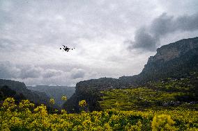 Intelligent Agriculture