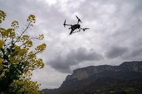 Intelligent Agriculture