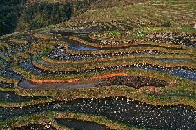 Nanfeng Colorful Rice Terraces