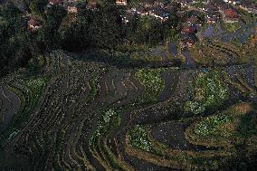 Nanfeng Colorful Rice Terraces