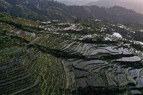 Nanfeng Colorful Rice Terraces