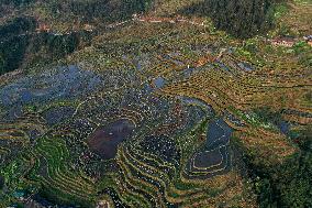 Nanfeng Colorful Rice Terraces