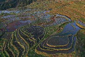 Nanfeng Colorful Rice Terraces