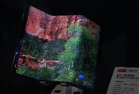 Flexible Folding Display