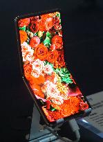 Flexible Folding Display