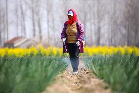 Intelligent Agriculture