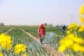 Intelligent Agriculture