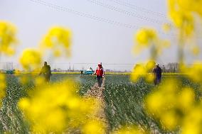 Intelligent Agriculture