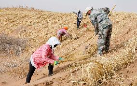 Sand Areas Governance