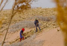 Sand Areas Governance