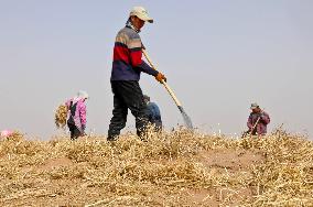 Sand Areas Governance