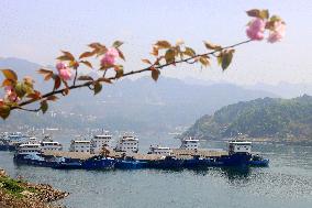 The Three Gorges Dam Locks Suspended For Maintenance