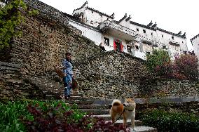 Traditional Chinese Stone Village