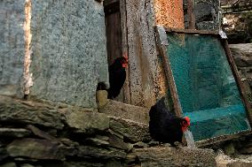 Traditional Chinese Stone Village