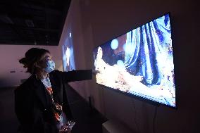 Digital Visual Art Exhibition in Hangzhou City