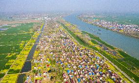 New Rural Construction