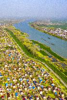 New Rural Construction