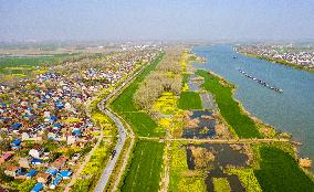 New Rural Construction