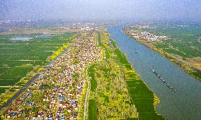 New Rural Construction