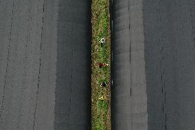Agricultural Base in Chongqing
