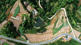 Spring Ploughing in Mountain Villages