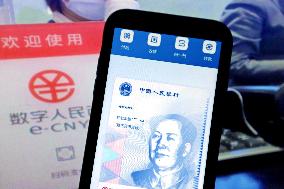 Digital RMB Currency