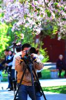 The Forbidden City