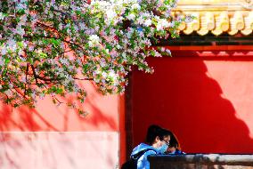 The Forbidden City