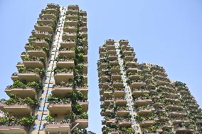 Vertical Forest Community