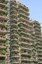 Vertical Forest Community