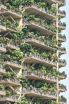 Vertical Forest Community