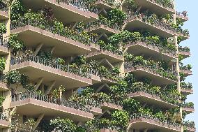 Vertical Forest Community