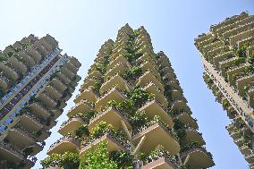 Vertical Forest Community