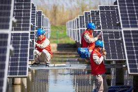 Fish-Light Complementary Photovoltaic Power Station