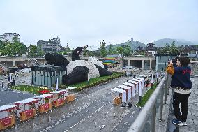 The Heaviest Giant Panda Sculpture On The World