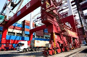 Shandong Port Cargo throughput Growth