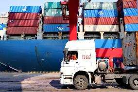 Shandong Port Cargo throughput Growth