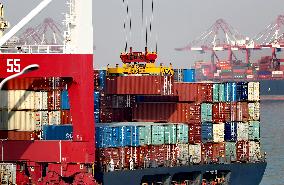 Shandong Port Cargo throughput Growth