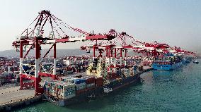 Shandong Port Cargo throughput Growth