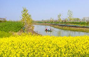 Idyllic Waterscape Complex