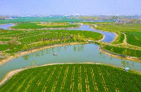 Idyllic Waterscape Complex