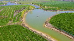 Idyllic Waterscape Complex