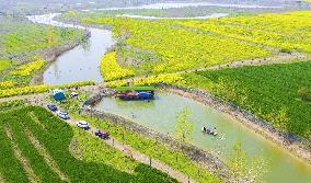 Idyllic Waterscape Complex