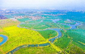 Idyllic Waterscape Complex