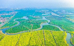 Idyllic Waterscape Complex