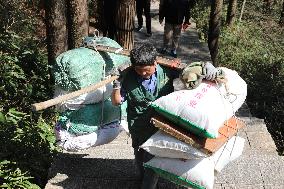 Huangshan Mountain Picker