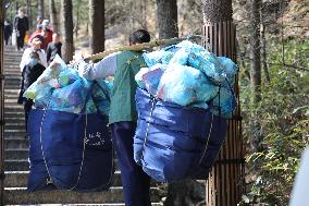 Huangshan Mountain Picker