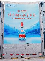 Chinese Liquor Brand Wuliangye