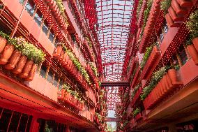 Building Decorated With Green Plants In Shanghai