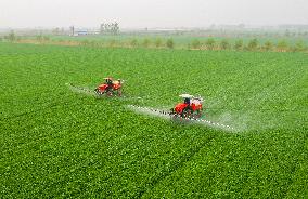 Intelligent Agriculture